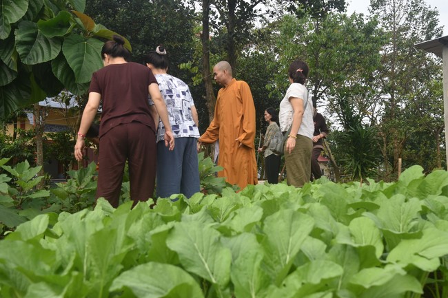 Late Great Master Death Anniversary – Hoang Phap Pagoda Founder and One-Day Practice at Dang Phap pagoda, Binh Phuoc