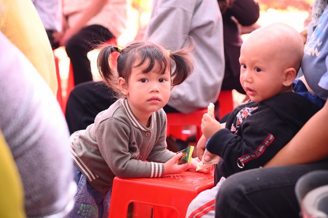 Abbot Appointment Ceremony of Dac Phap Pagoda in Đắk Nông