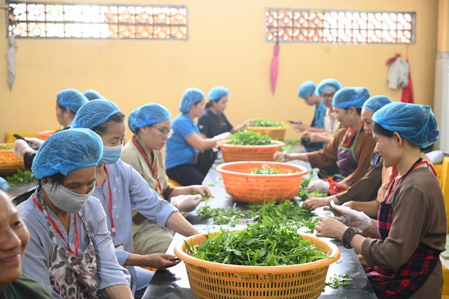 Pháp thoại “Ân tình bao la” – Thượng toạ Thích Chúc Tín – KTPT lần 104