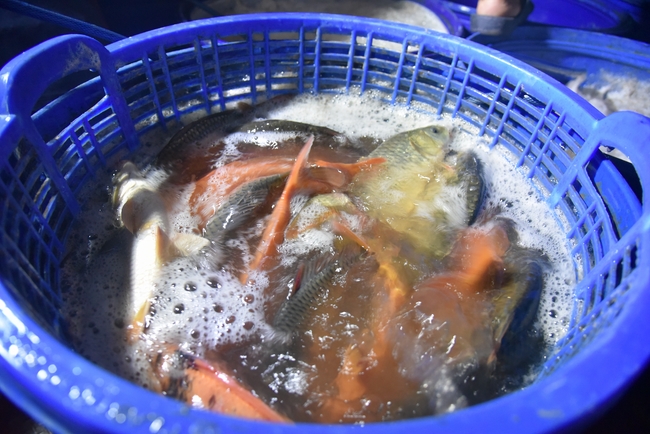 Đạo Tràng Minh Chất - Cần Thơ: Khóa tu một ngày