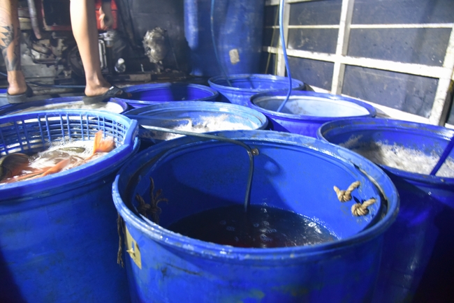 Đạo Tràng Minh Chất - Cần Thơ: Khóa tu một ngày