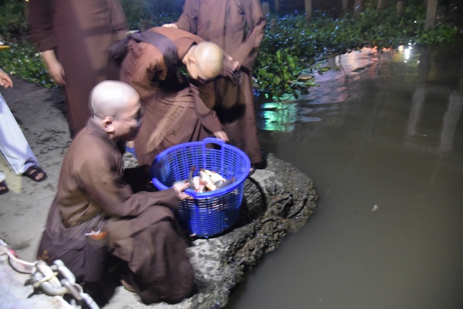 Đạo Tràng Minh Chất - Cần Thơ: Khóa tu một ngày