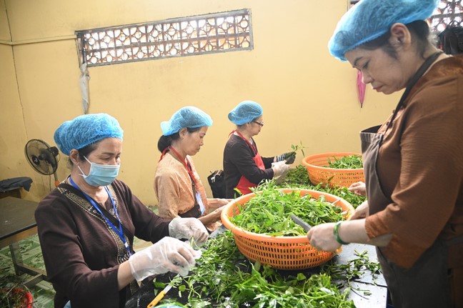 Pháp thoại “Nhìn về Tịnh Độ” – Thượng toạ Thích Chơn Minh – KTPT lần 104