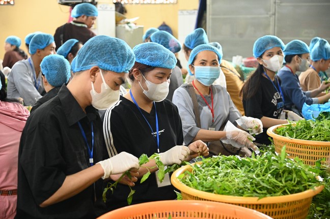 Pháp thoại “Nhìn về Tịnh Độ” – Thượng toạ Thích Chơn Minh – KTPT lần 104