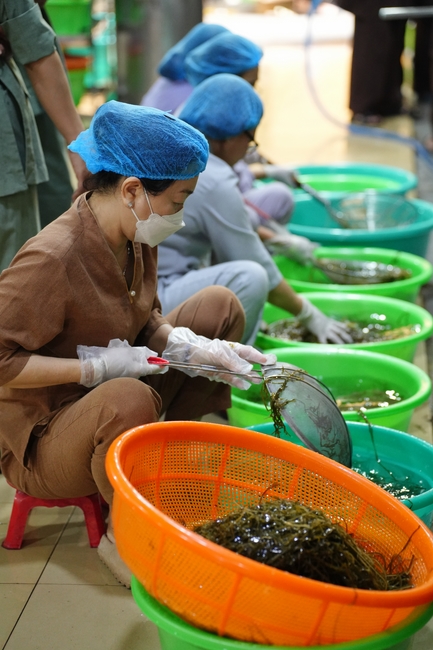 Pháp thoại “An vui chân thật” – Thượng toạ Thích Pháp Đăng – KTPT lần 104