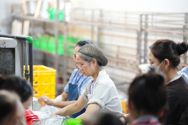 Pháp thoại “An vui chân thật” – Thượng toạ Thích Pháp Đăng – KTPT lần 104