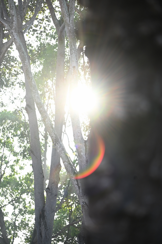 Trước Giờ G đêm hoa đăng kỷ niệm đức Phật A-di-đà