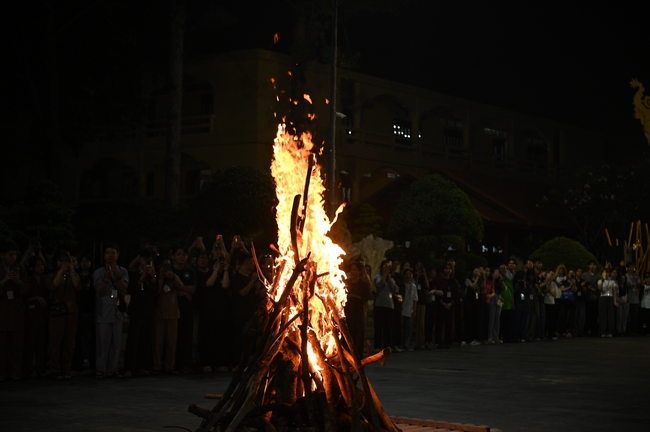 Youthful colors at the campfire night