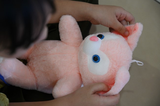 The 60th Kid Playground