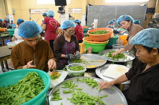 Vegan Buffet Party for gratitude on the year-end occasion 2024.