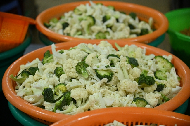 Vegan Buffet Party for gratitude on the year-end occasion 2024.