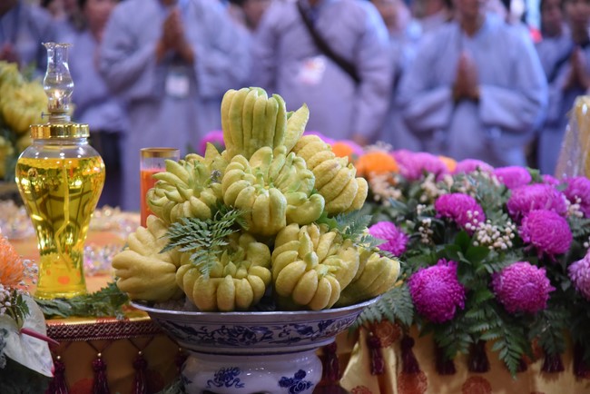 Hành hương thập tự đầu xuân Giáp Thìn