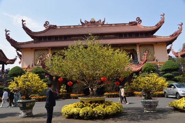 Hành hương thập tự đầu xuân Giáp Thìn