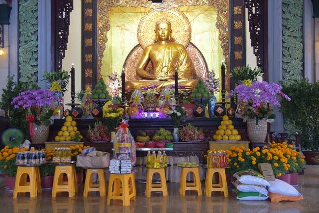 Hành hương thập tự đầu xuân Giáp Thìn