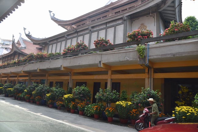 Hành hương thập tự đầu xuân Giáp Thìn