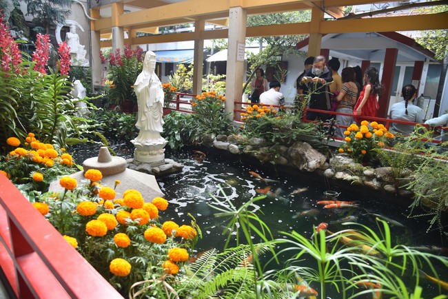 Hành hương thập tự đầu xuân Giáp Thìn