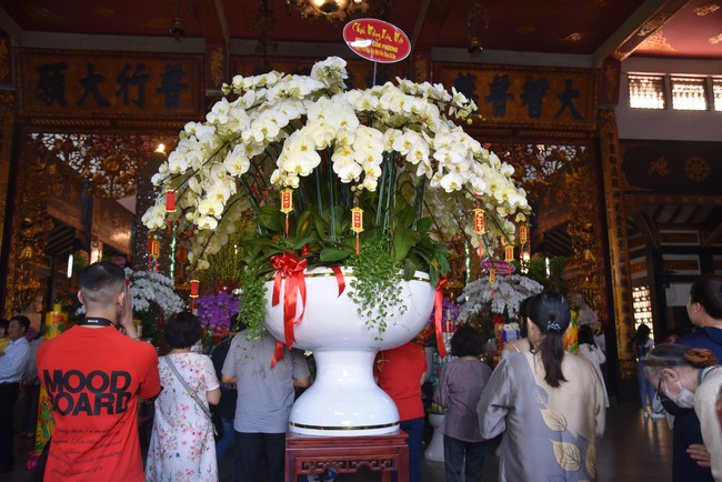 Hành hương thập tự đầu xuân Giáp Thìn
