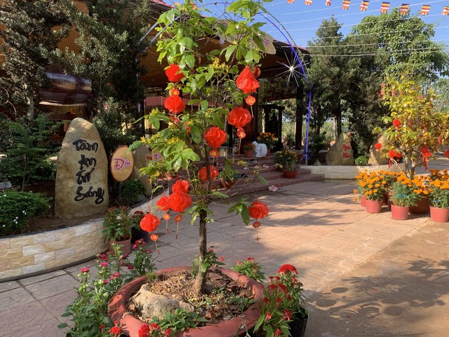 Chùa Suối Pháp – Tây Ninh: Chùm ảnh “Đón giao thừa và nhận Lộc lì xì đầu năm mới”