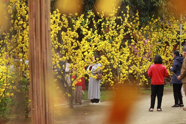Chùa Giai Lam – Hà Tĩnh: Chùm ảnh “Đón giao thừa và nhận Lộc lì xì đầu năm mới”