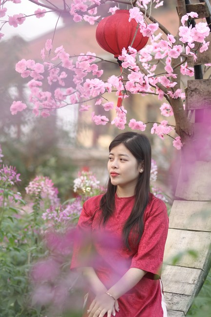 Chùa Giai Lam – Hà Tĩnh: Chùm ảnh “Đón giao thừa và nhận Lộc lì xì đầu năm mới”