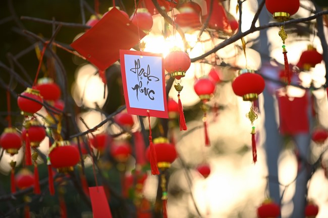 Preparation Activities to Welcome Year of the Dragon (part 2)