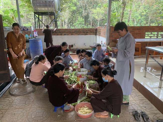 One-Day Peaceful Retreat in the ending of the Cat year at Suoi Phap Pagoda