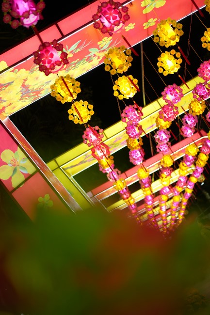 Hoàn tất mô hình đón xuân Giáp Thìn