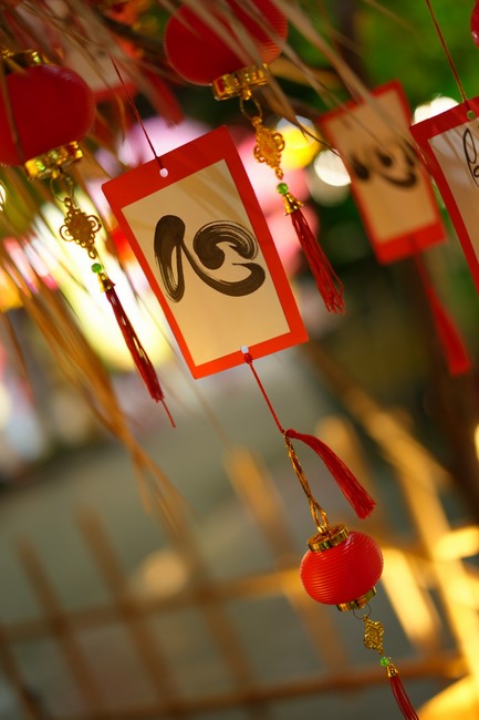 Hoàn tất mô hình đón xuân Giáp Thìn