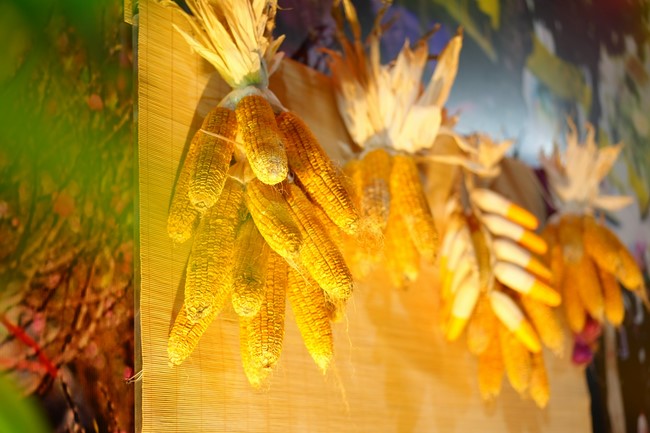 Hoàn tất mô hình đón xuân Giáp Thìn