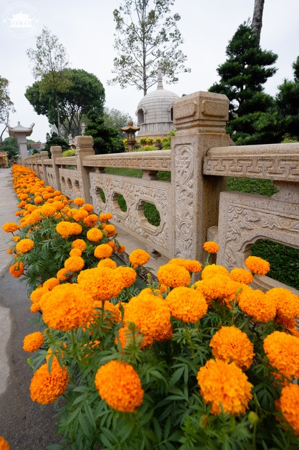 Hoàn tất mô hình đón xuân Giáp Thìn