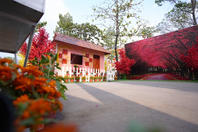 Hoàn tất mô hình đón xuân Giáp Thìn