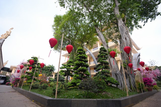 Hoàn tất mô hình đón xuân Giáp Thìn