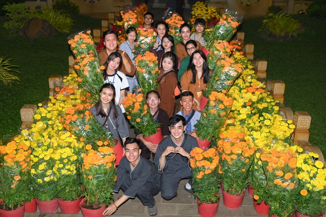 Sightseeing in Spring 2024