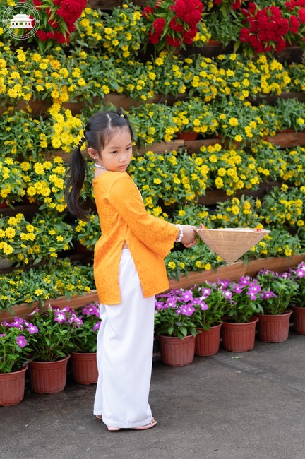 Sightseeing in Spring 2024