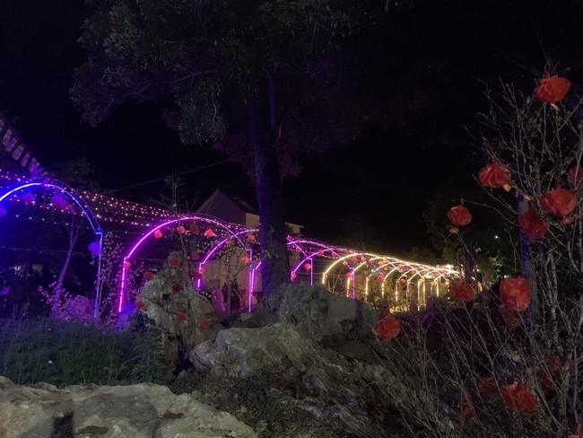 Chùa Suối Pháp - Tây Ninh: Hoàn thiện mô hình tiểu cảnh đón xuân Giáp Thìn