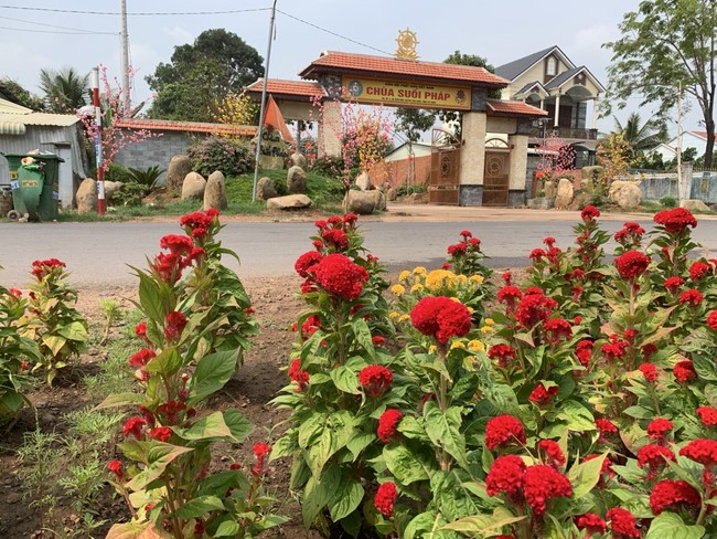 Chùa Suối Pháp - Tây Ninh: Hoàn thiện mô hình tiểu cảnh đón xuân Giáp Thìn