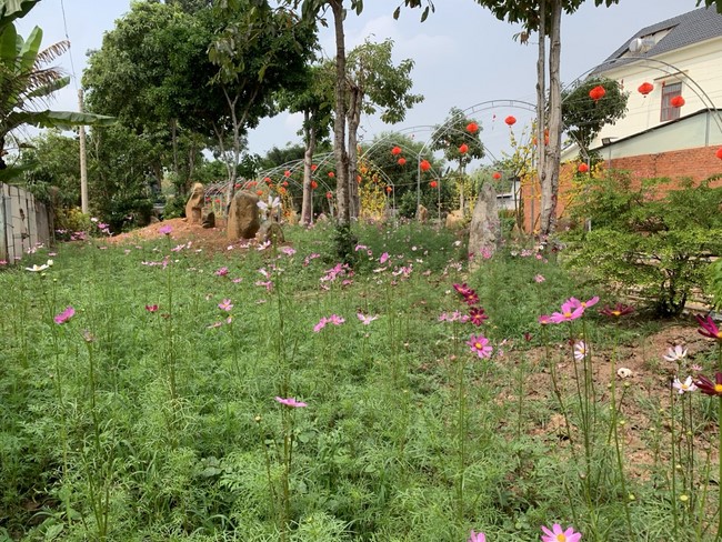 Chùa Suối Pháp - Tây Ninh: Hoàn thiện mô hình tiểu cảnh đón xuân Giáp Thìn