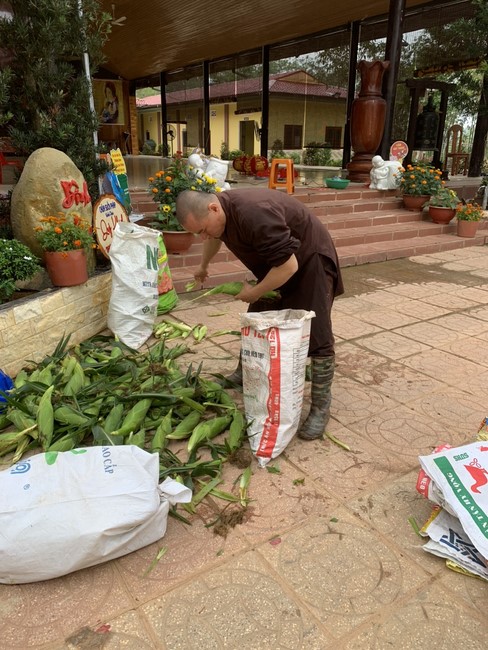 Chùa Suối Pháp - Tây Ninh: Hoàn thiện mô hình tiểu cảnh đón xuân Giáp Thìn