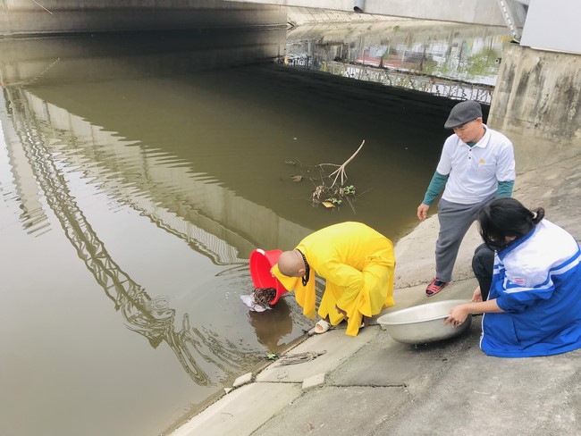 One - Day Practice at Dong Cao pagoda, Thanh Hoa