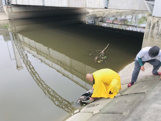 One - Day Practice at Dong Cao pagoda, Thanh Hoa