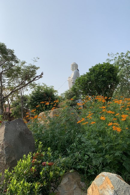 Repentance ceremony on Jan. 29th, Year of the Dragon at Suoi Phap Pagoda, Tay Ninh