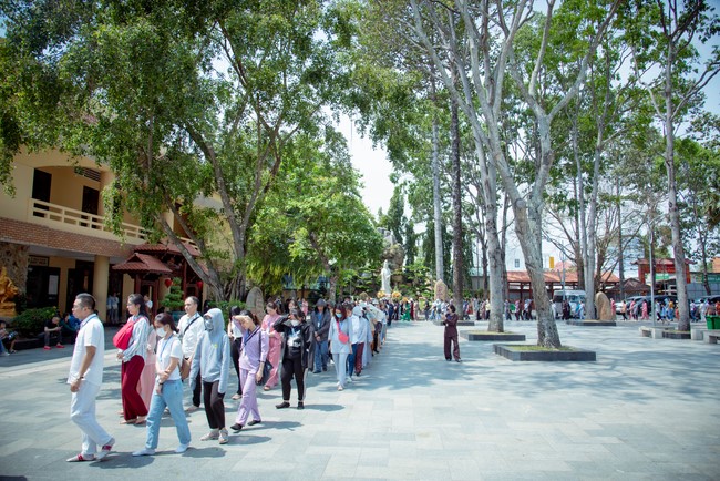 Khóa tu Một ngày sống thiền “Trọn vẹn nhận biết” cùng thầy Pháp Nhật