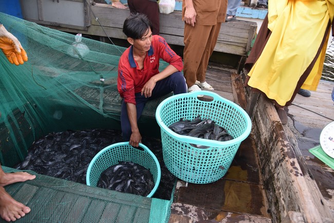 One-Day Retreat at Minh Chat ashram in Can Tho and offering to Khmer Theravada Buddhist University of the Charity Board.
