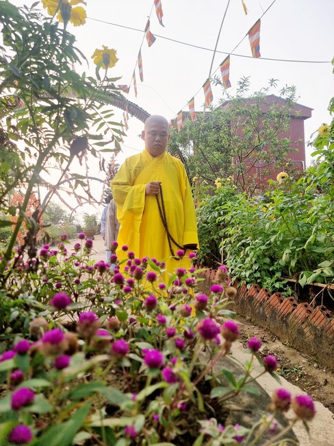 One - Day Practice at Dong Cao pagoda, Thanh Hoa
