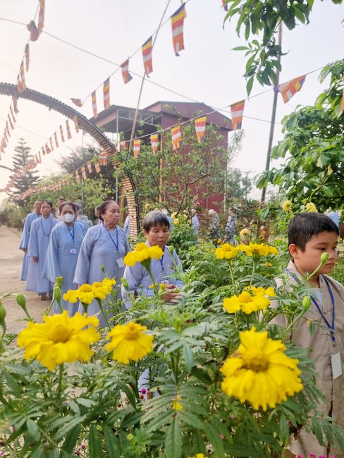 One - Day Practice at Dong Cao pagoda, Thanh Hoa