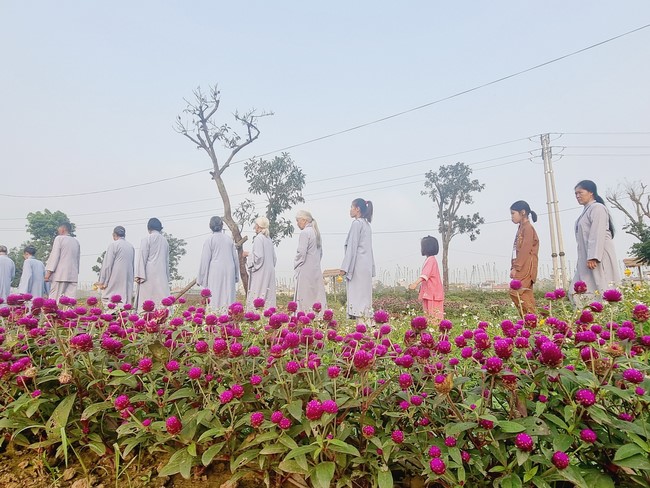 One - Day Practice at Dong Cao pagoda, Thanh Hoa