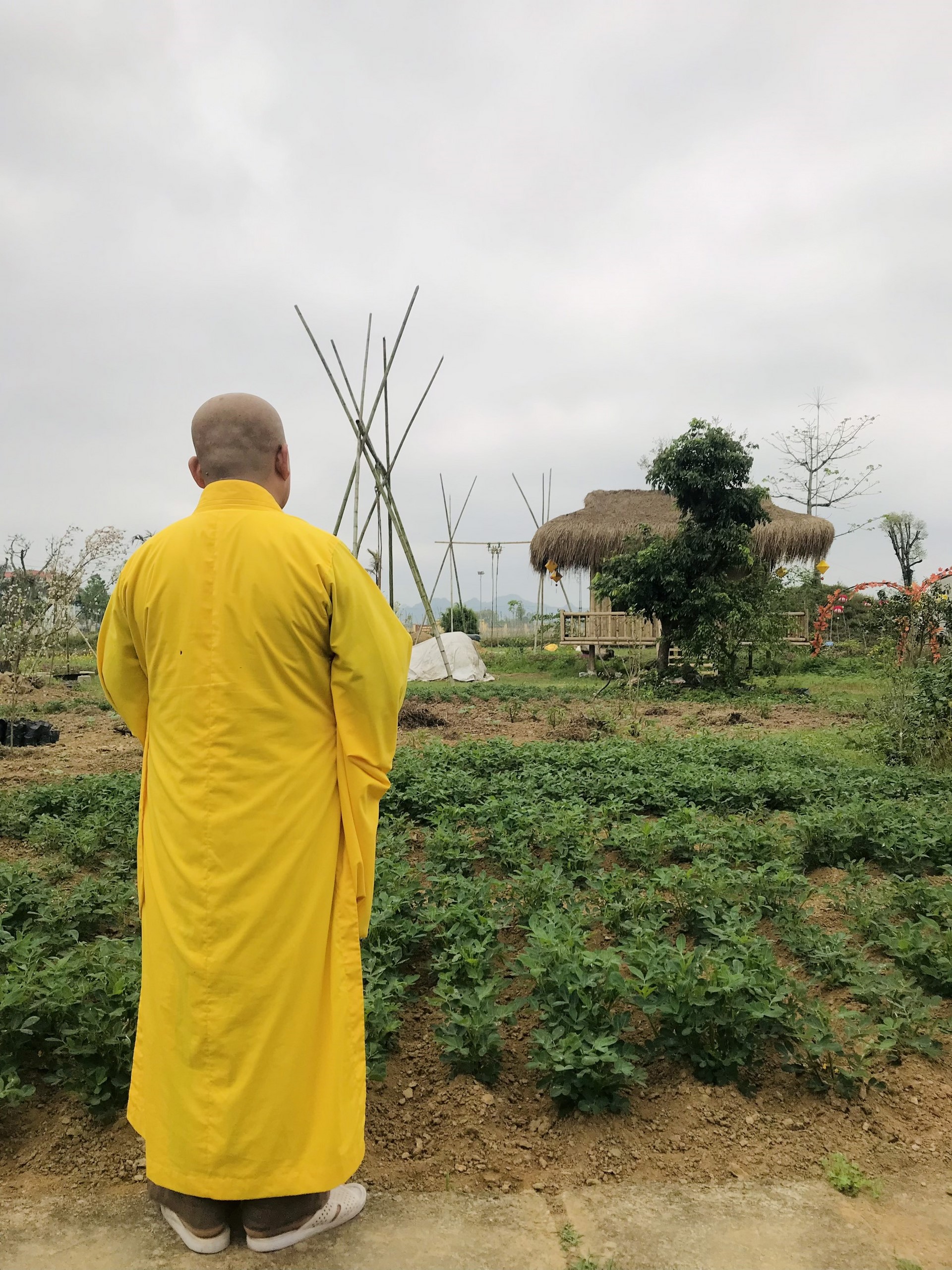 The 22nd Retreat “Learning the Practice as the Buddha Teachings” and a repentance ceremony at Dong Cao Pagoda, Thanh Hoa