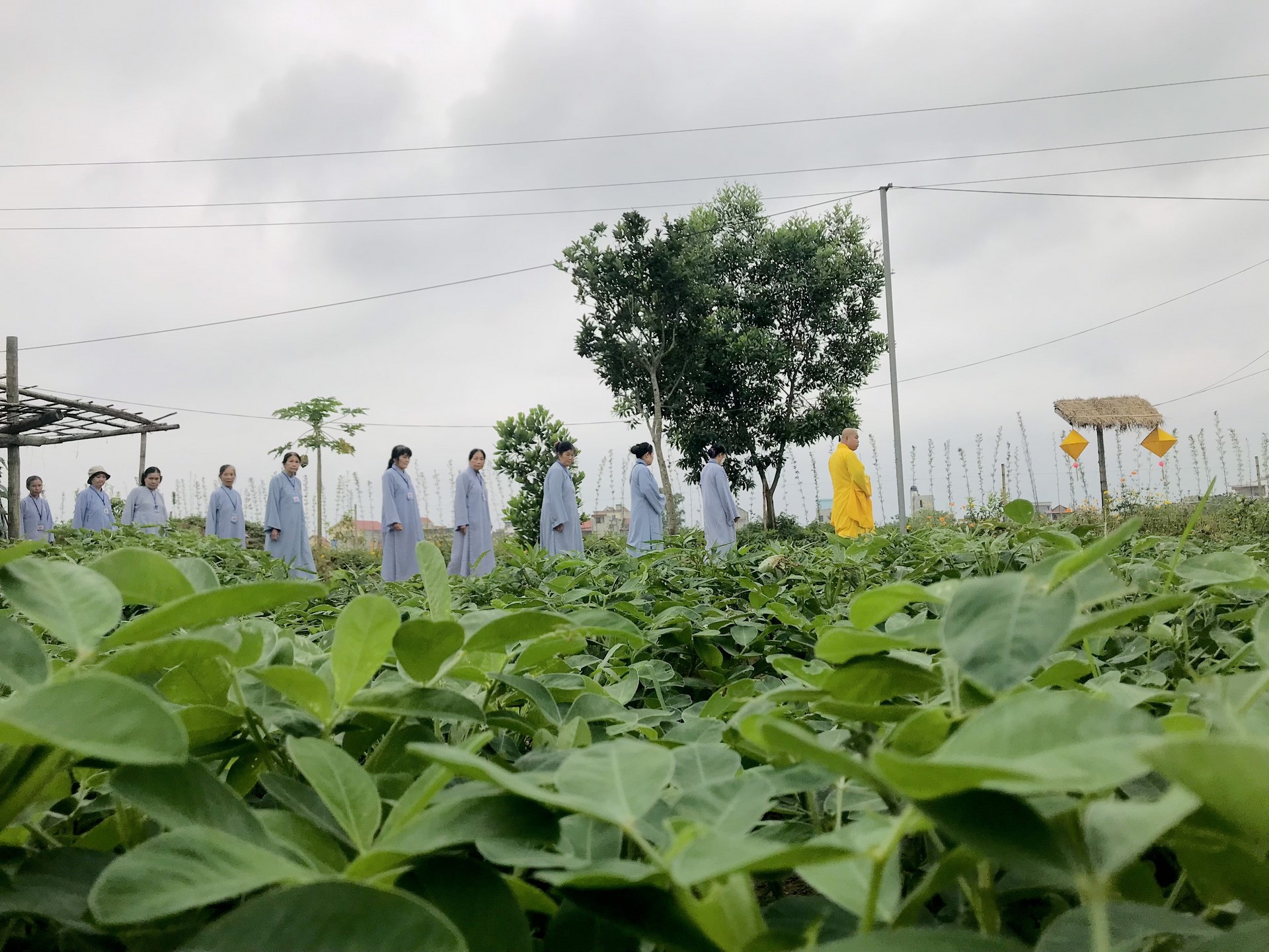 The 22nd Retreat “Learning the Practice as the Buddha Teachings” and a repentance ceremony at Dong Cao Pagoda, Thanh Hoa