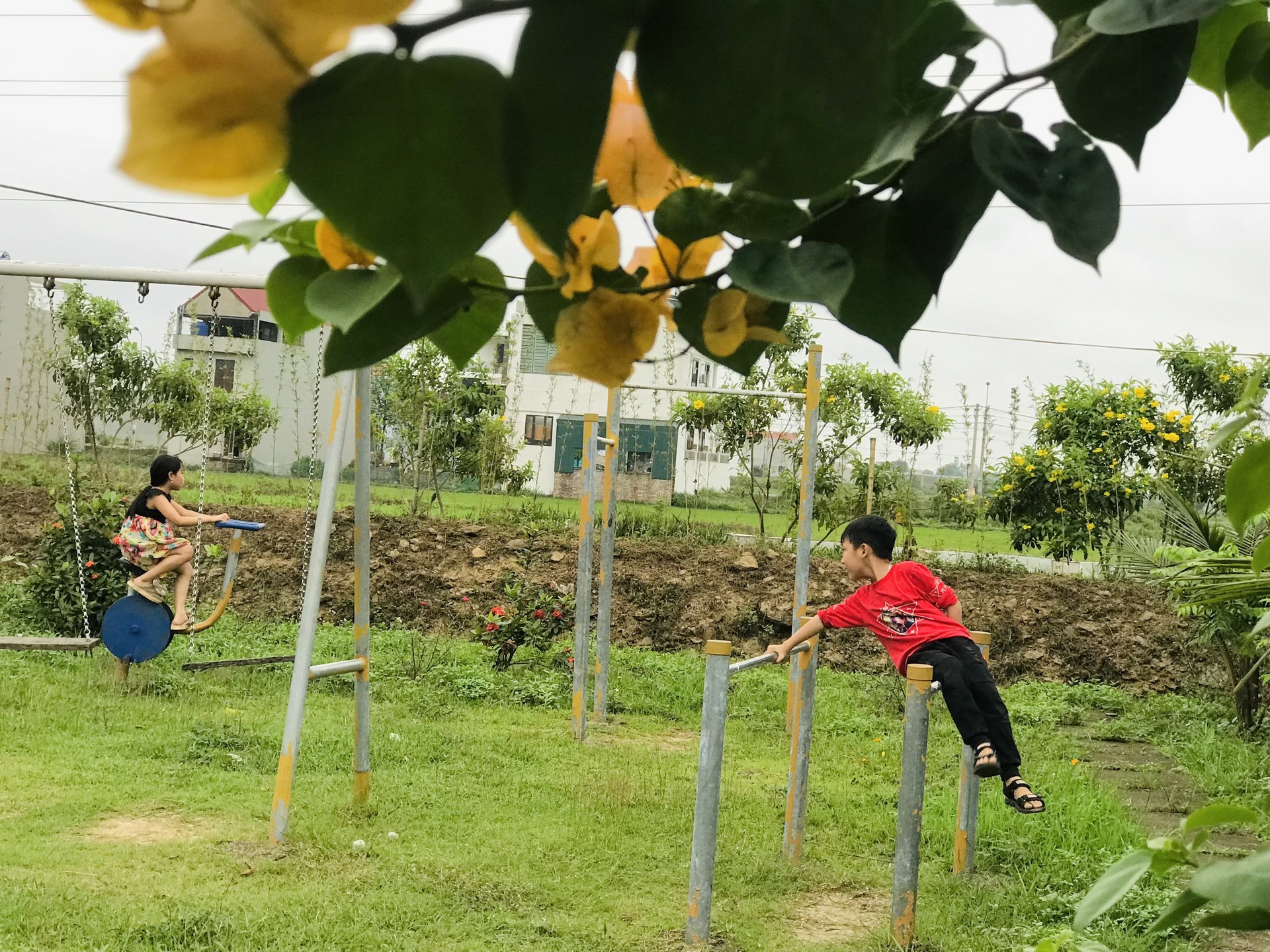 The 22nd Retreat “Learning the Practice as the Buddha Teachings” and a repentance ceremony at Dong Cao Pagoda, Thanh Hoa