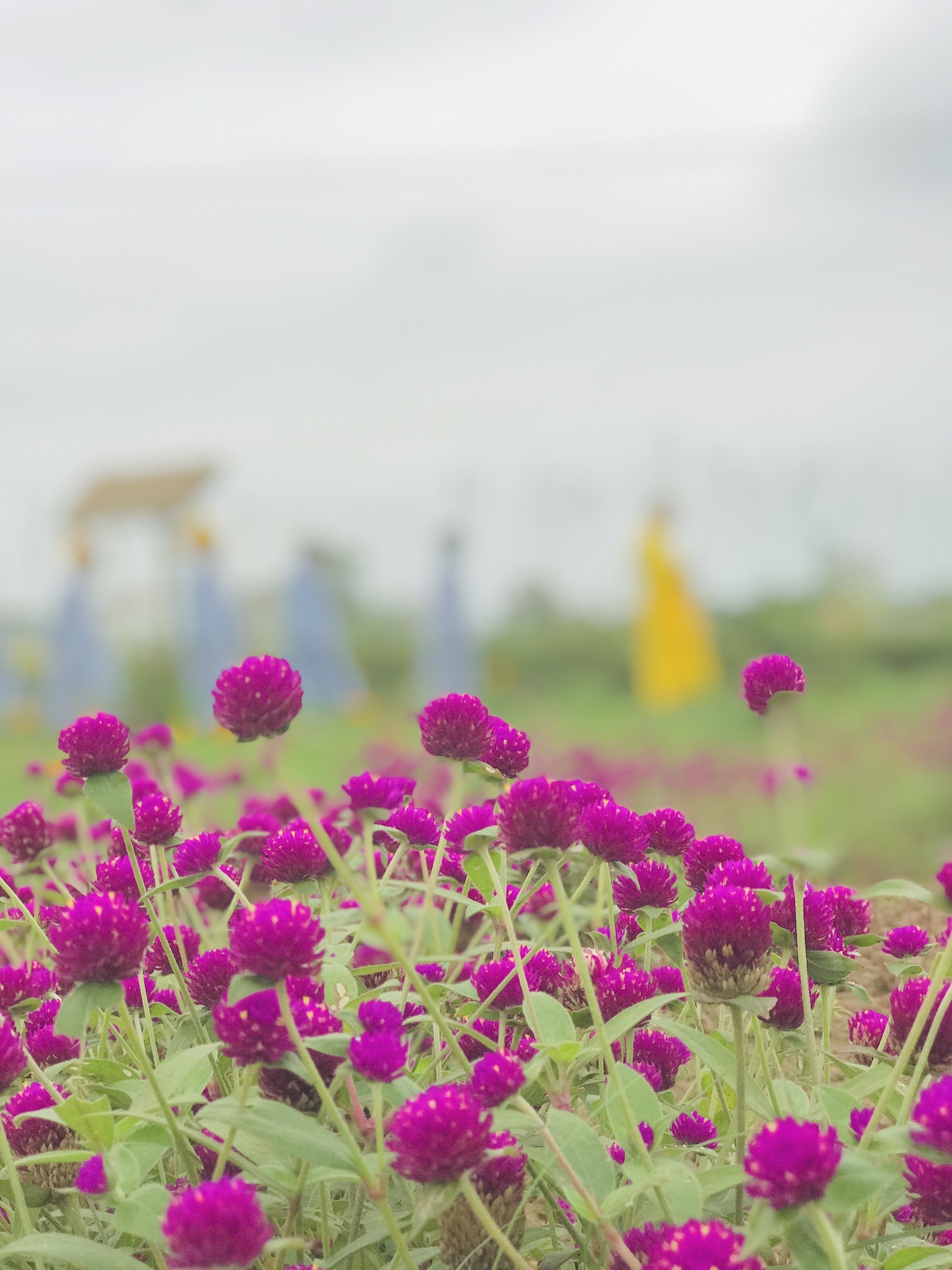 The 22nd Retreat “Learning the Practice as the Buddha Teachings” and a repentance ceremony at Dong Cao Pagoda, Thanh Hoa